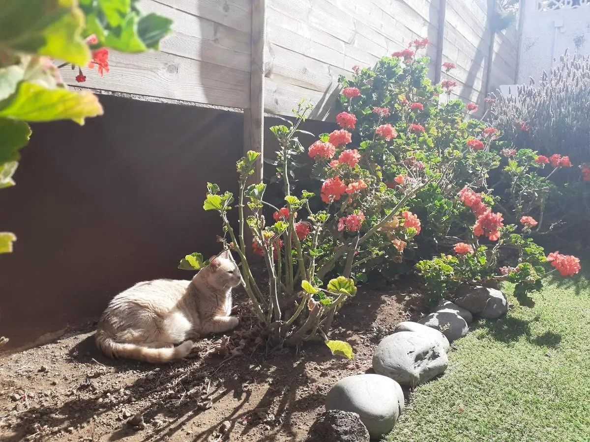 Appartamento Moon In The Garden Los Realejos
